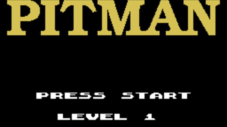 Скриншот 1 из Pitman