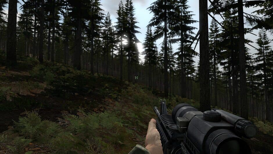 Скриншот 6 из Arma 2