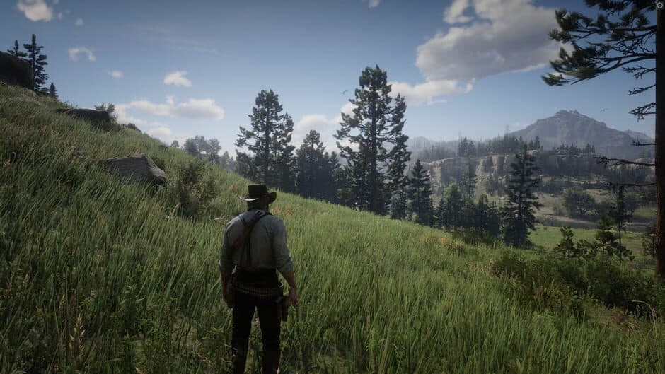 Скриншот 5 из Red Dead Redemption 2