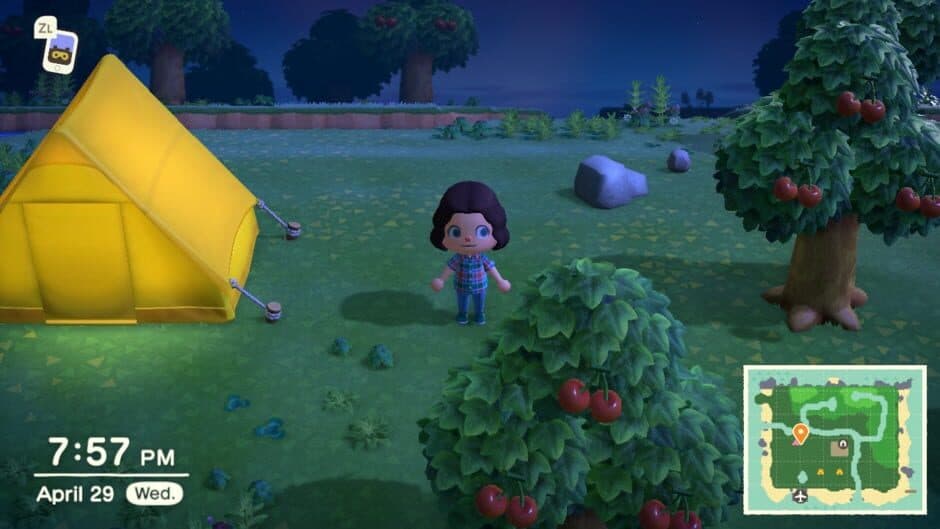 Скриншот 1 из Animal Crossing: New Horizons