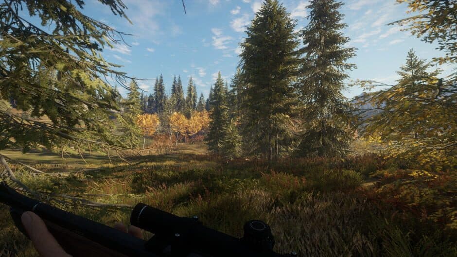 Скриншот 1 из TheHunter: Call of the Wild