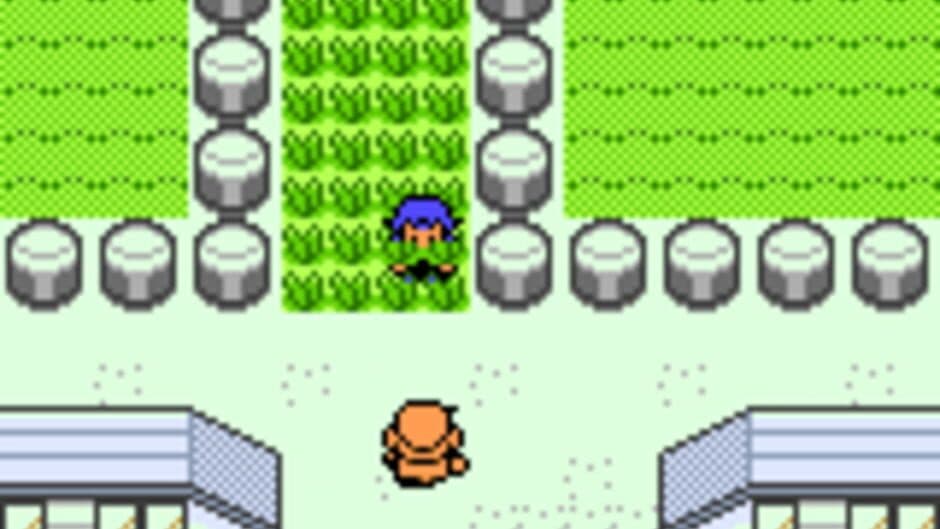 Скриншот 9 из Pokémon Anniversary Crystal