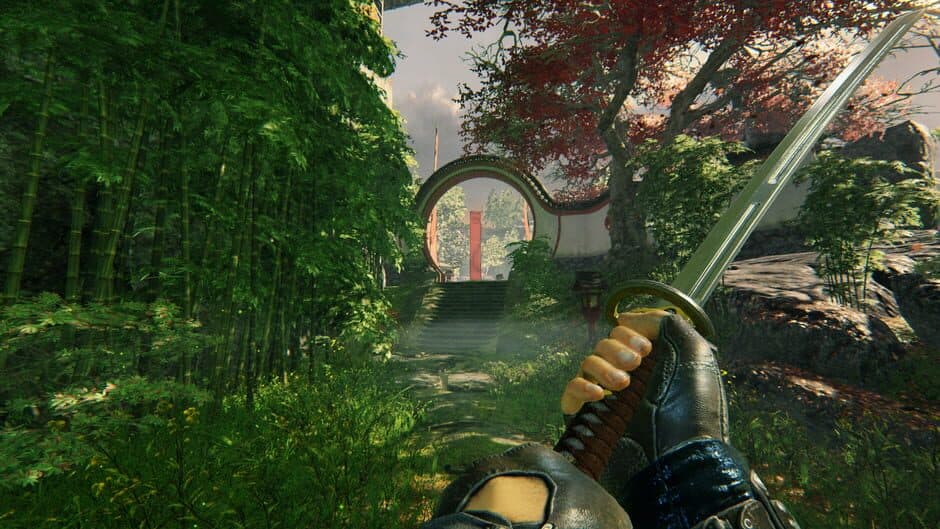 Скриншот 6 из Shadow Warrior