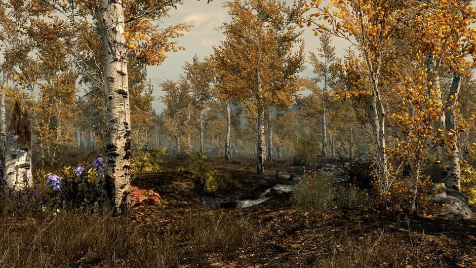 Скриншот 2 из Falskaar