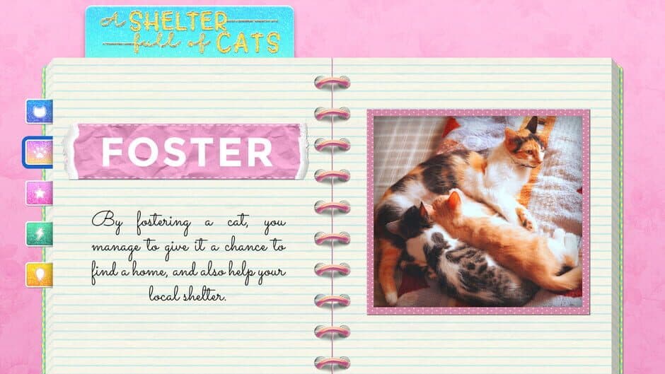 Скриншот 7 из A Shelter Full of Cats