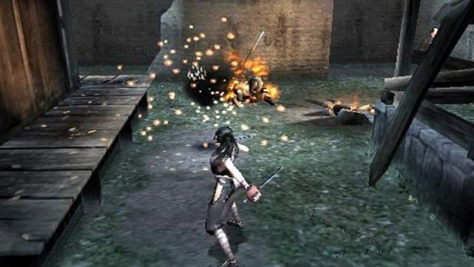 Скриншот 1 из Tenchu: Fatal Shadows