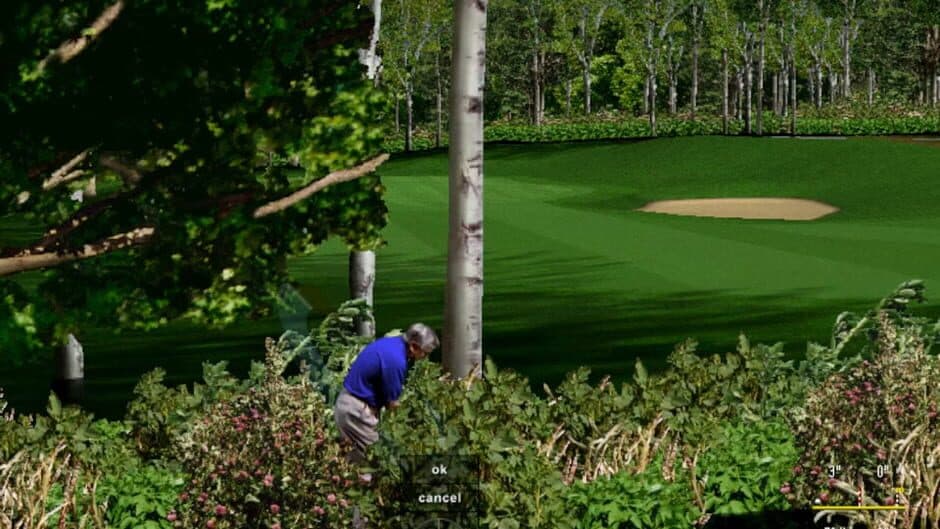 Скриншот 11 из Microsoft Golf 1999 Edition