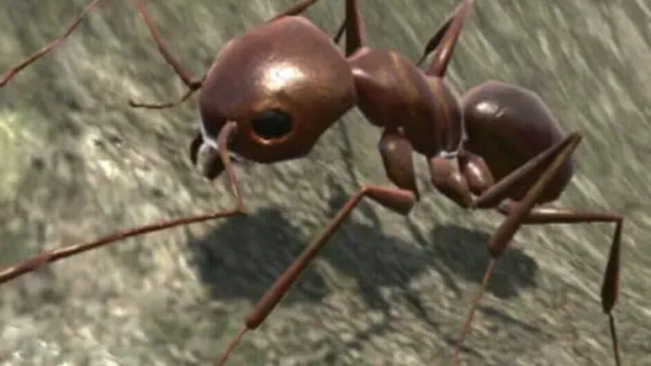 Скриншот 4 из Ant Simulator 3D