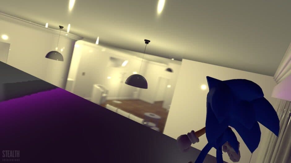 Скриншот 1 из Stealth The Hedgehog