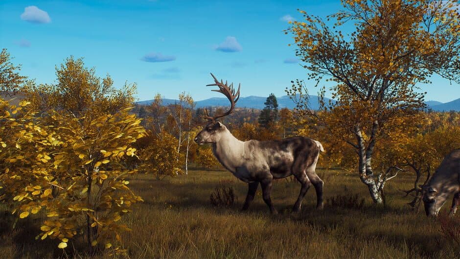 Скриншот 1 из Way of the Hunter: Lintukoto Reserve