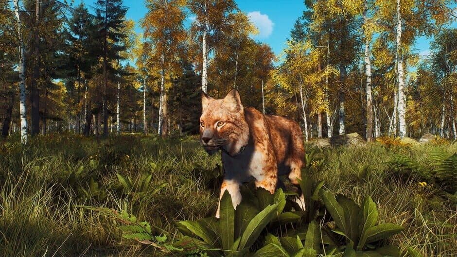 Скриншот 3 из Way of the Hunter: Lintukoto Reserve