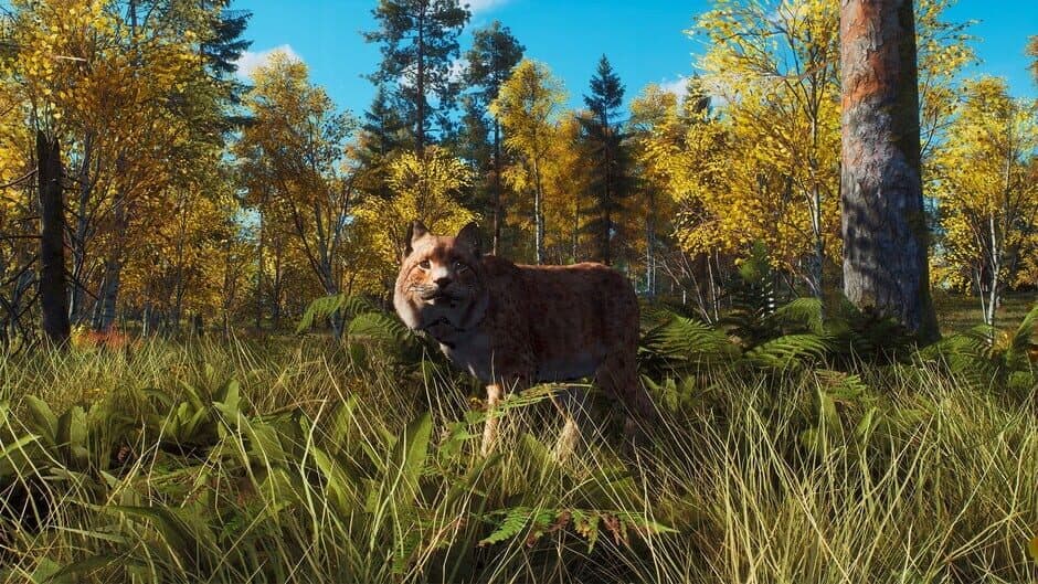 Скриншот 4 из Way of the Hunter: Lintukoto Reserve