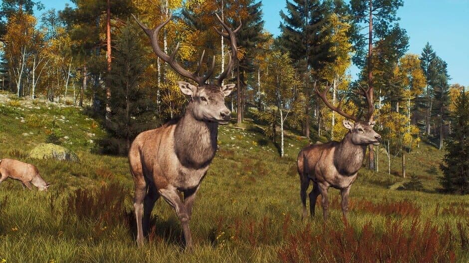 Скриншот 5 из Way of the Hunter: Lintukoto Reserve