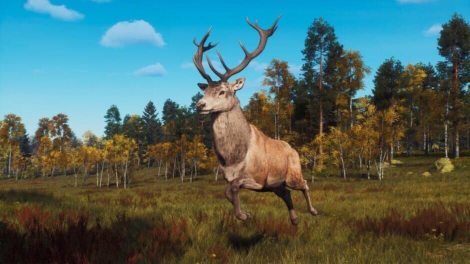 Скриншот 6 из Way of the Hunter: Lintukoto Reserve