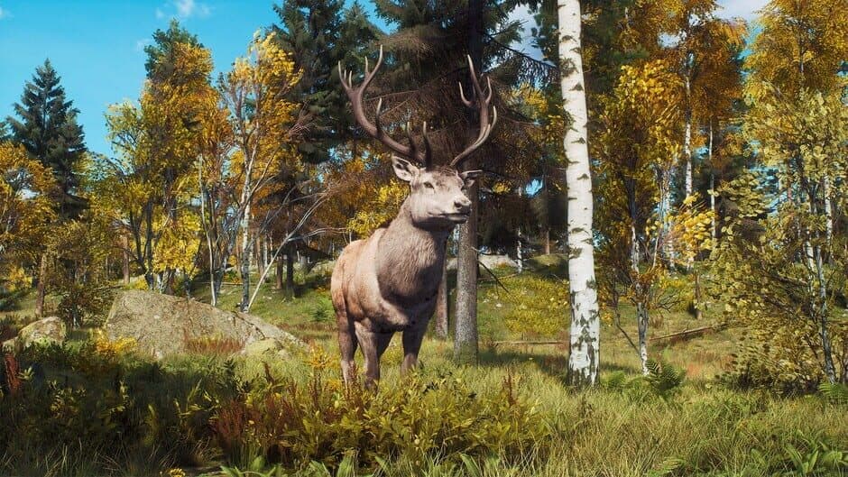 Скриншот 7 из Way of the Hunter: Lintukoto Reserve