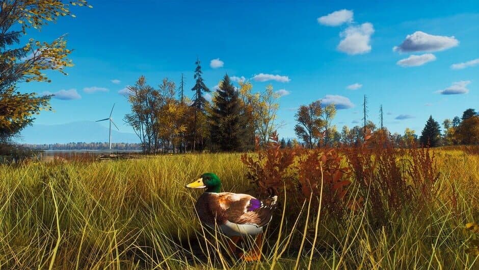 Скриншот 8 из Way of the Hunter: Lintukoto Reserve