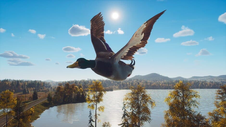 Скриншот 9 из Way of the Hunter: Lintukoto Reserve