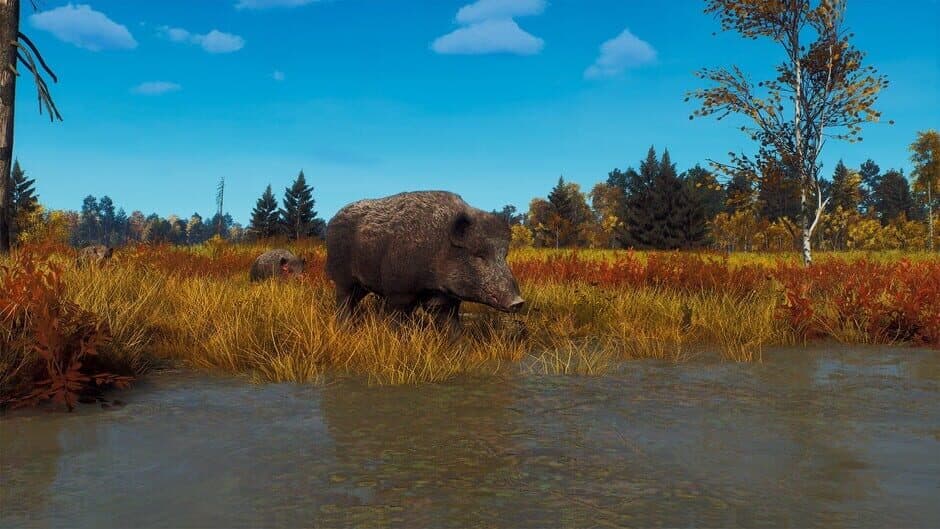 Скриншот 12 из Way of the Hunter: Lintukoto Reserve