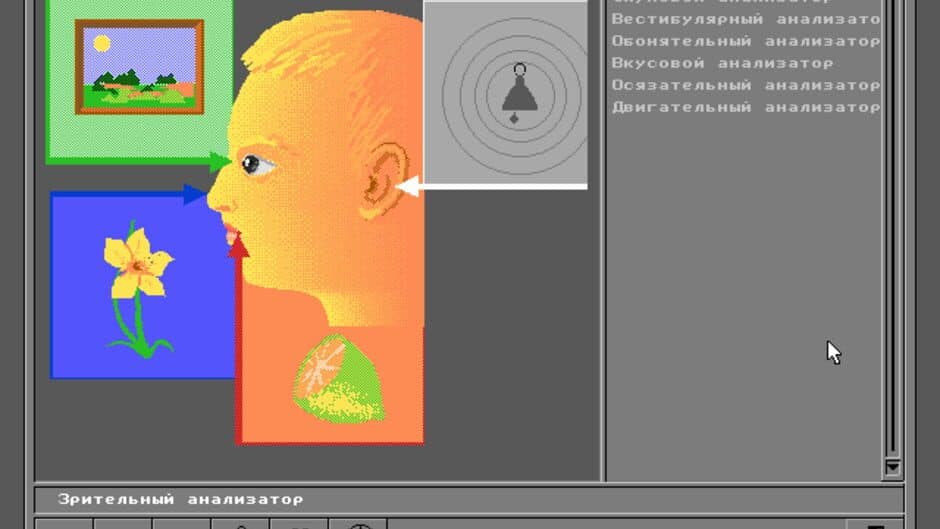 Скриншот 9 из Body Quest
