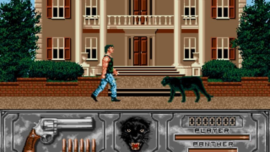Скриншот 1 из Wild Streets