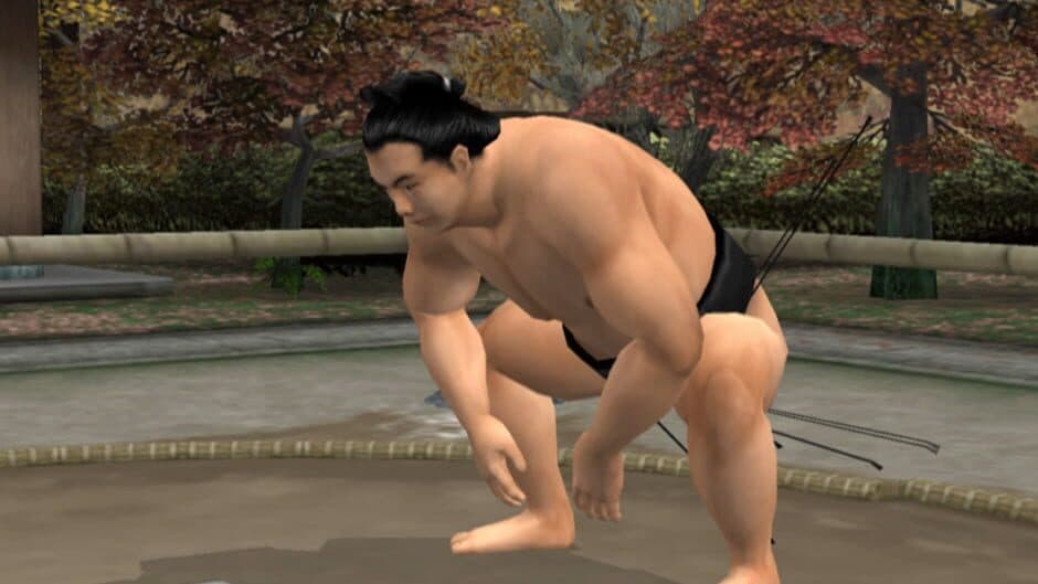 Скриншот 4 из Nihon Sumo Kyokai Kounin: Nihon Oozumou Gekitou Honbasho-hen