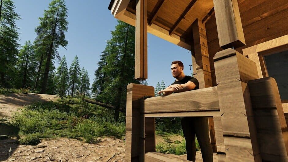Скриншот 7 из Finnish Cottage Simulator