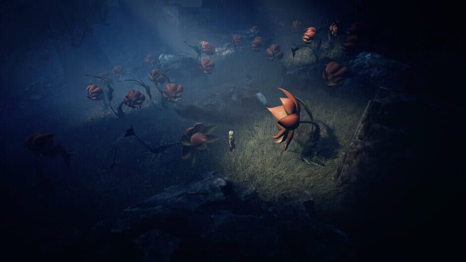 Скриншот 3 из Ayasa: Shadows of Silence