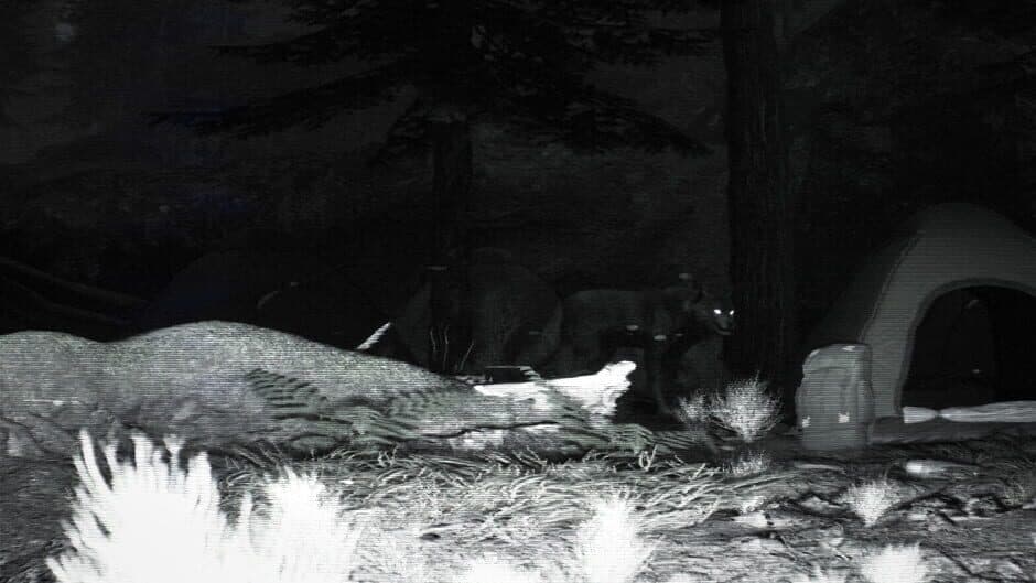 Скриншот 3 из Trailcam