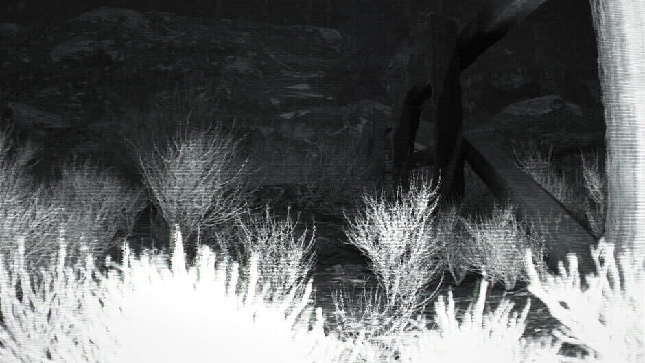 Скриншот 6 из Trailcam