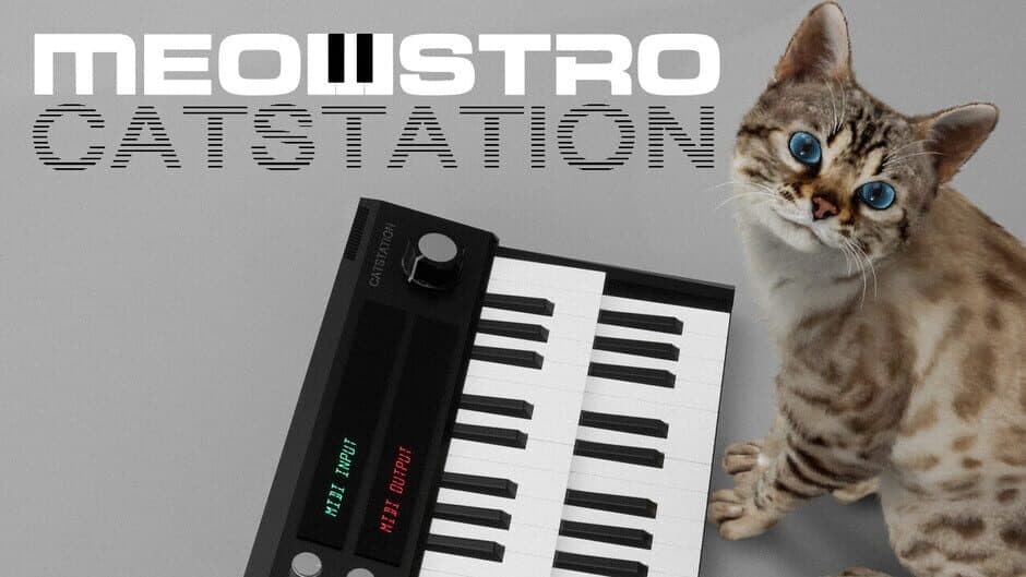 Скриншот 7 из Meowstro