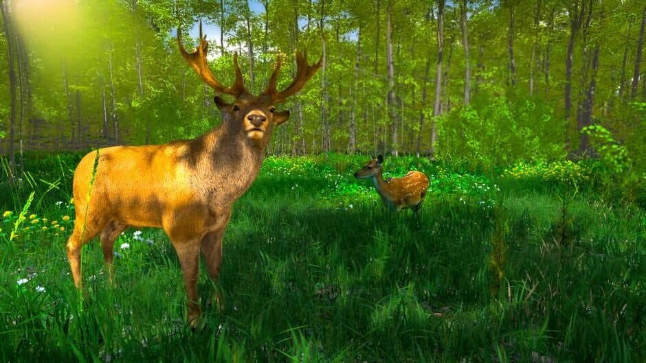Скриншот 6 из Wild Hunter: Sniper Rifle Adventures Simulator