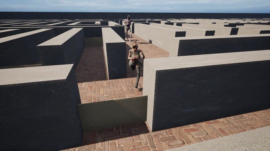 Скриншот 3 из Maze Escape