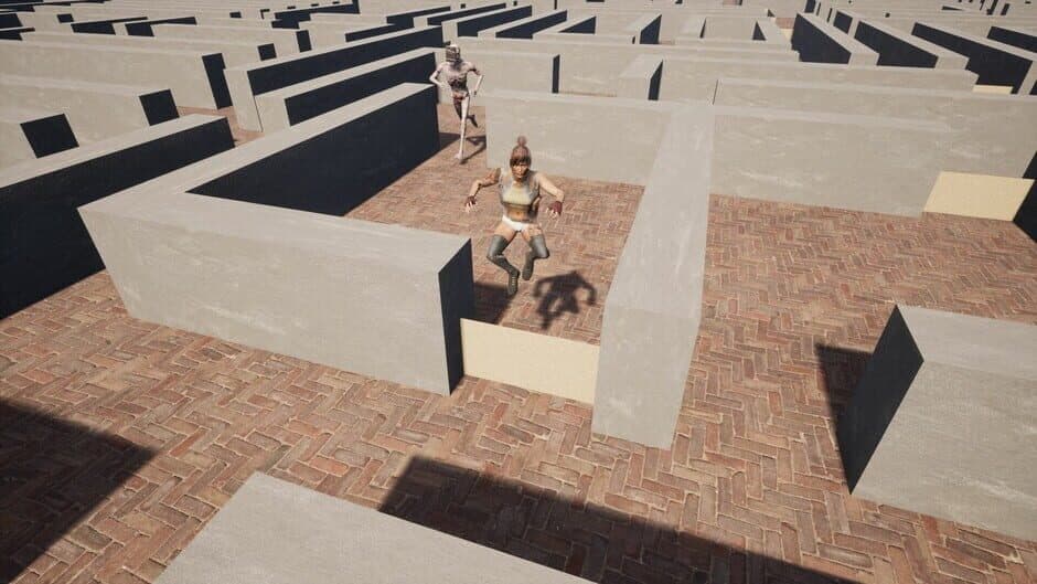 Скриншот 4 из Maze Escape