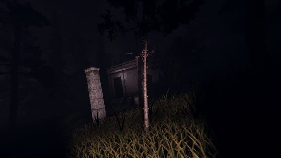 Скриншот 3 из Slender: Dark Woods