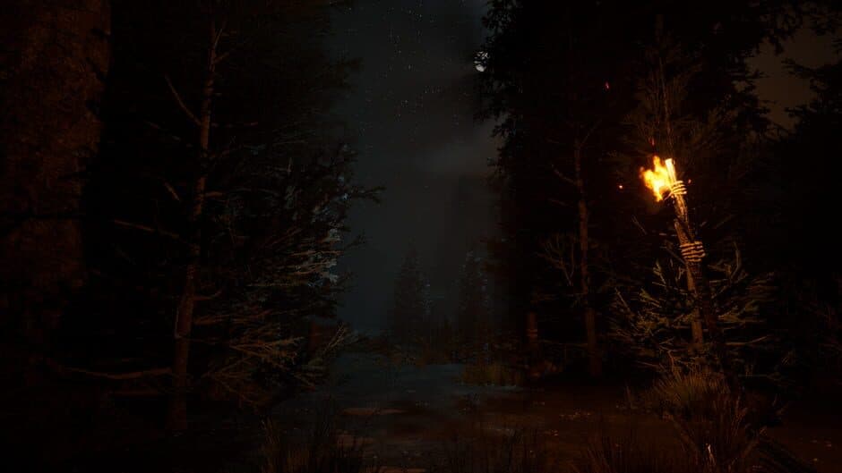 Скриншот 2 из The Veil of the Forgotten