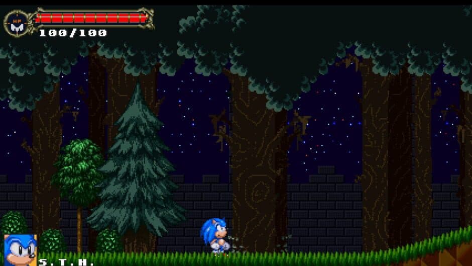 Скриншот 2 из Sonic: The Murdering Insanity