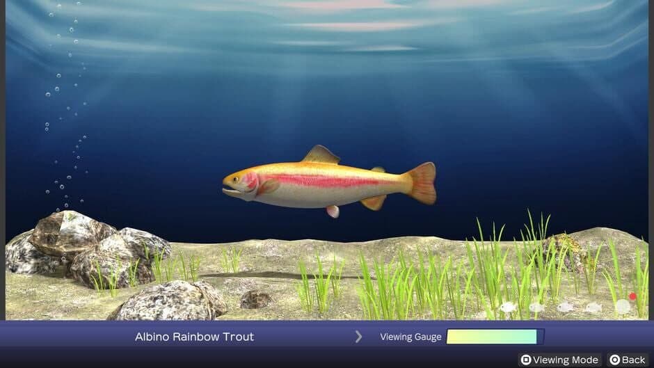 Скриншот 3 из Reel Fishing: Days of Summer