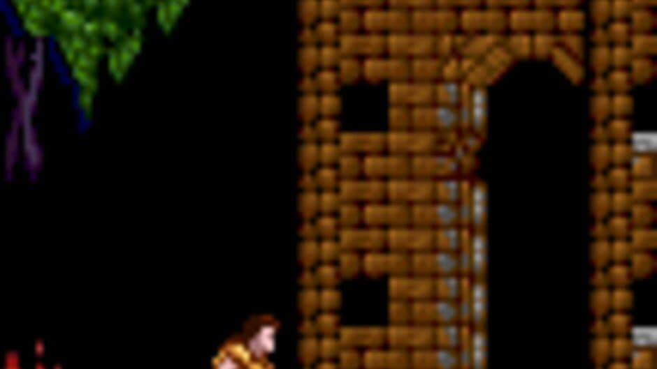 Скриншот 1 из Castlevania