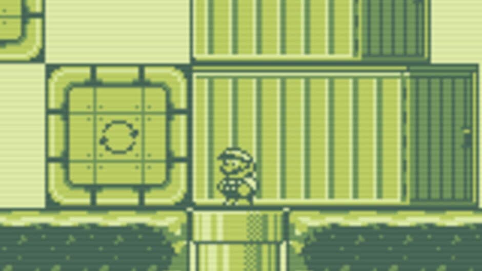 Скриншот 4 из Super Mario Country