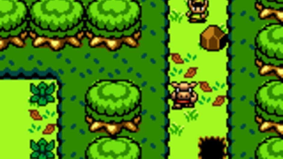 Скриншот 2 из The Legend of Zelda: Chaos Rising