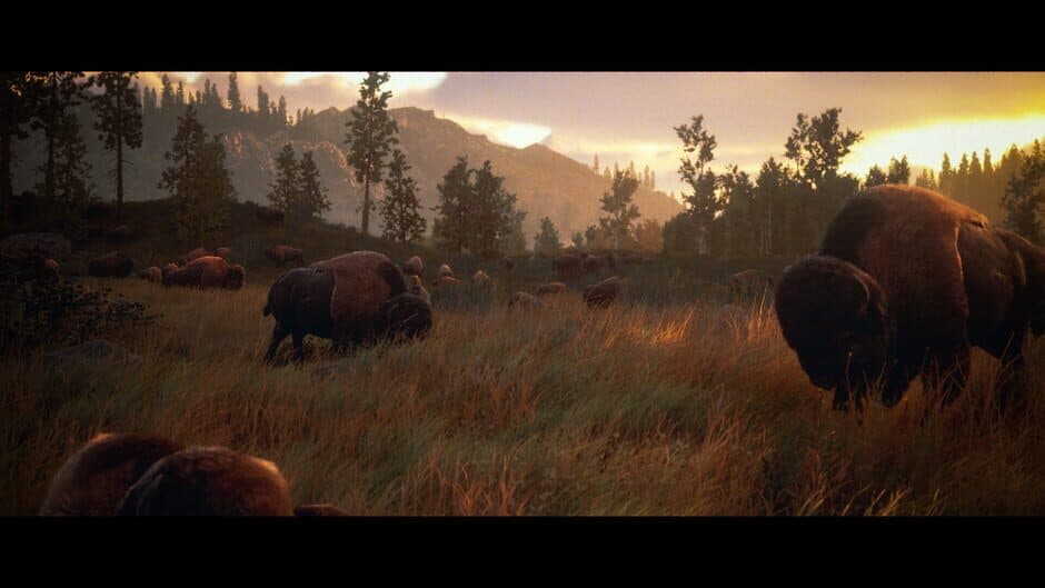 Скриншот 1 из Hunting Simulator 3