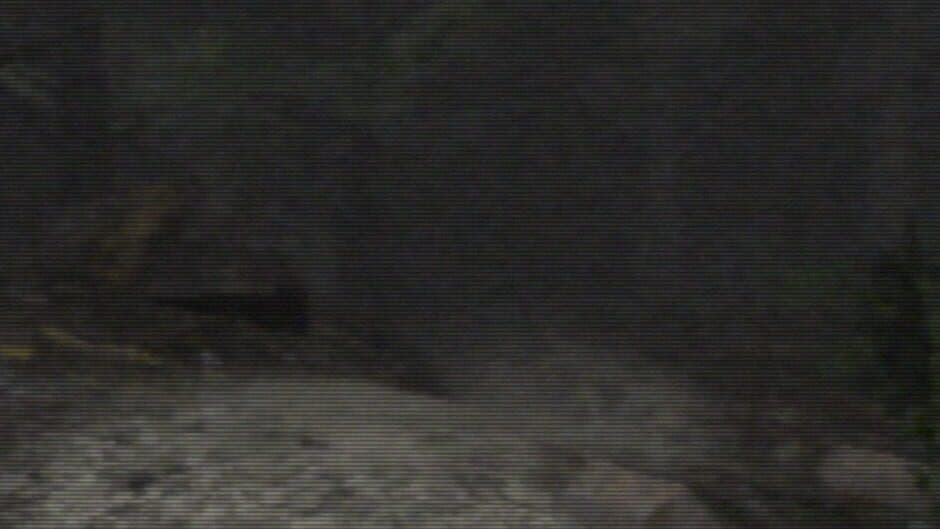 Скриншот 1 из The Happenings At Bowers End