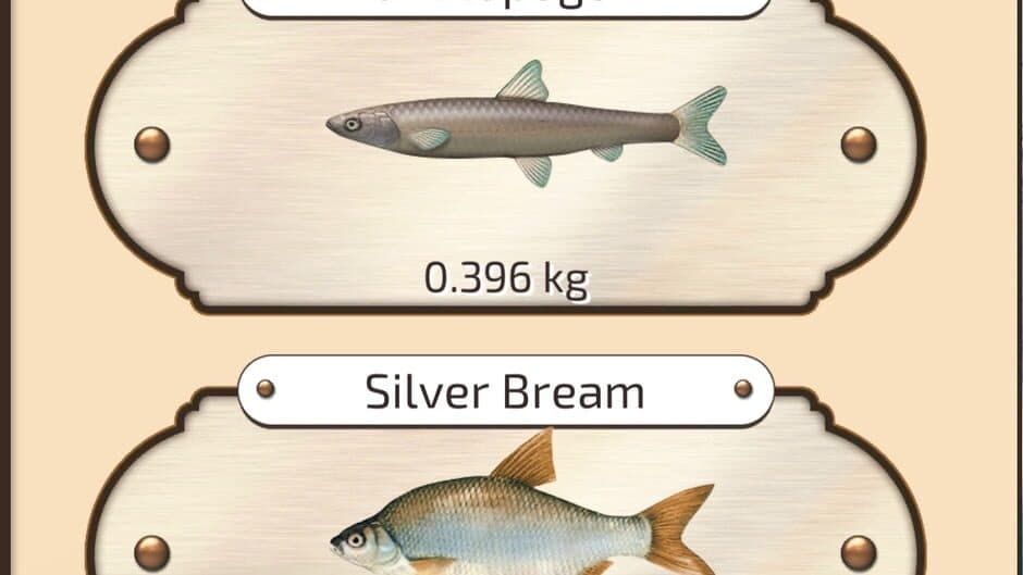Скриншот 1 из Let's Fish
