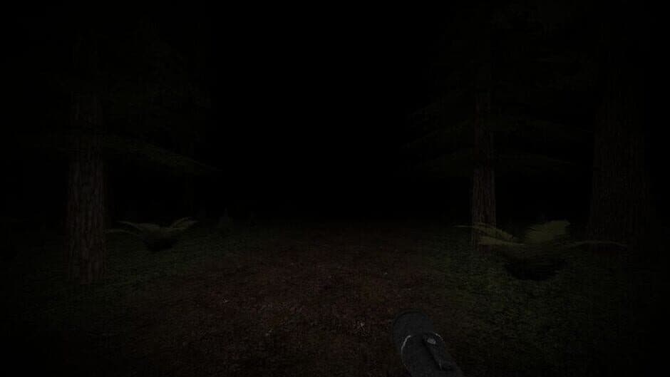 Скриншот 5 из Slender's Woods