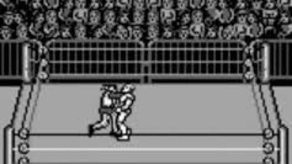 Скриншот 2 из WWF Raw