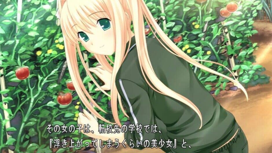 Скриншот 2 из Kono Aozora ni Yakusoku wo