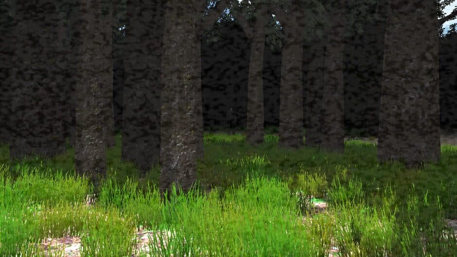 Скриншот 12 из Slender: The Eight Pages