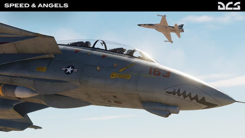 Скриншот 11 из DCS World: F-14 Speed & Angels Campaign by Reflected Simulations