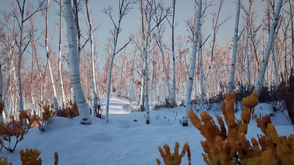 Скриншот 7 из Blackfrost: The Long Dark 2