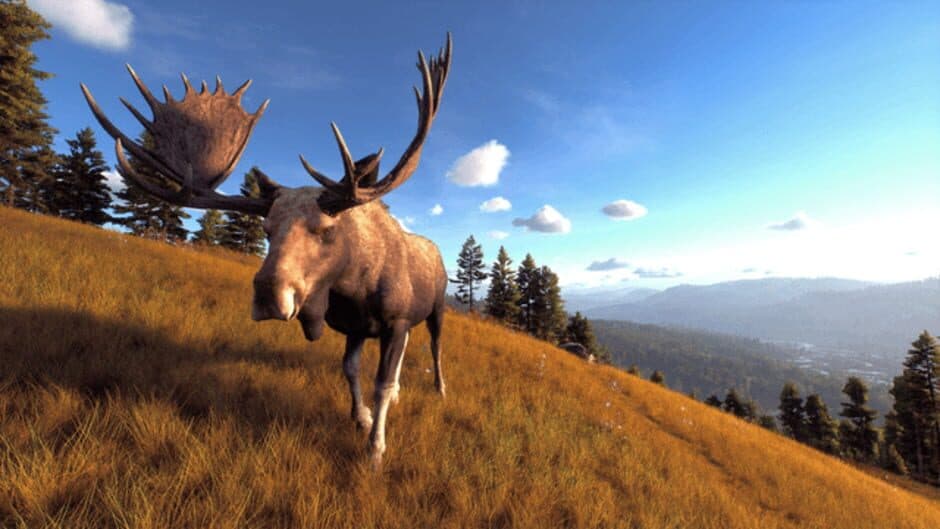 Скриншот 7 из Way of the Hunter: Wild Expeditions